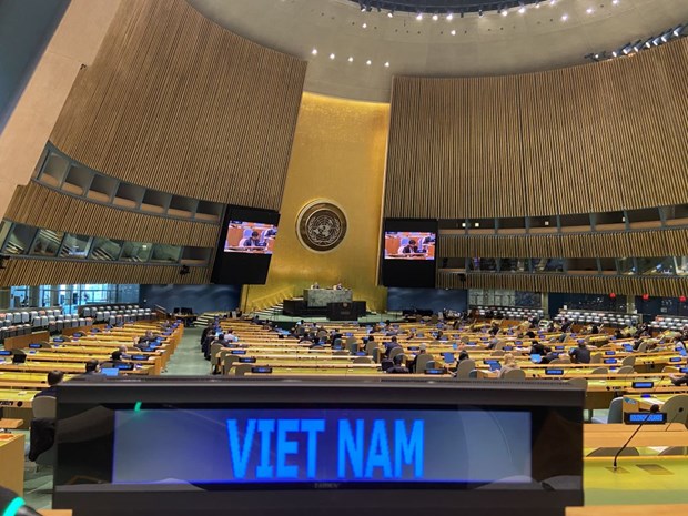《联合国海洋法公约》第30次缔约国会议：越南强调所有争端问题必须通过和平方式解决 hinh anh 1