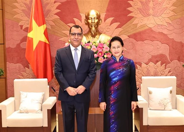 越南国会主席阮氏金银会见新西兰、智利和印尼驻越大使 hinh anh 2