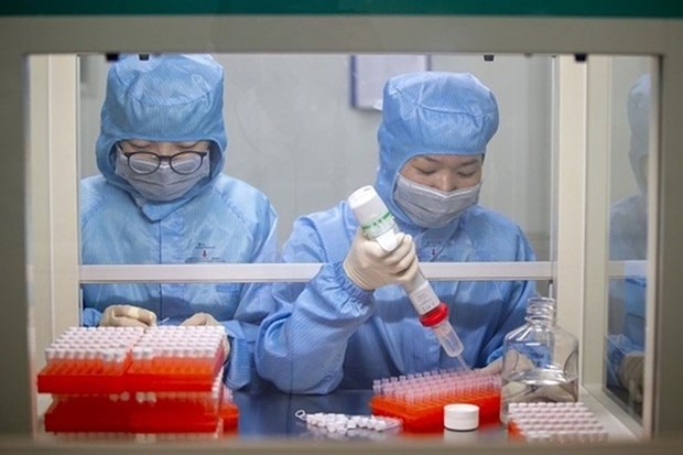 新冠肺炎疫情：越南新增6例境外输入病例和13例治愈病例 hinh anh 1