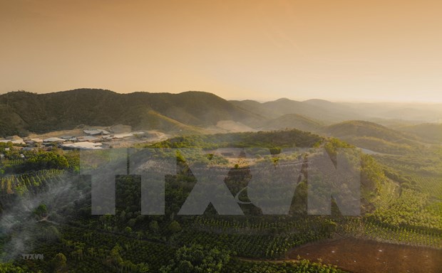 越南旅游：充分挖掘得农省的旅游潜力与优势 hinh anh 1