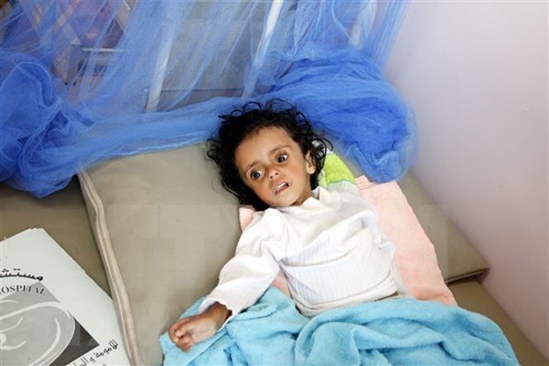 越南与联合国安理会：越南呼吁携手遏制也门饥荒危机 hinh anh 1