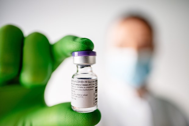 新加坡批准辉瑞和BioNTech联合生产的疫苗在新使用 hinh anh 1