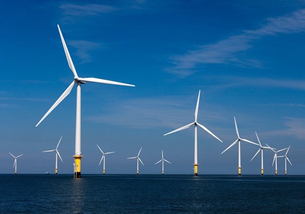 德国PNE集团计划在平定省投资建设风电项目 hinh anh 1