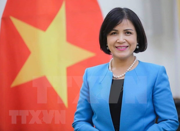 ASEAN 2020:越南促进东盟各国在日内瓦国际组织的参与度 hinh anh 1