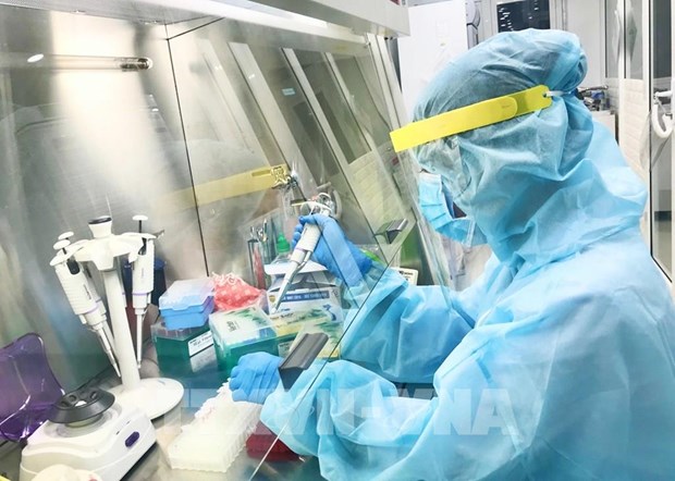 越南新增3例境外输入新冠肺炎确诊病例和3例治愈病例 hinh anh 1