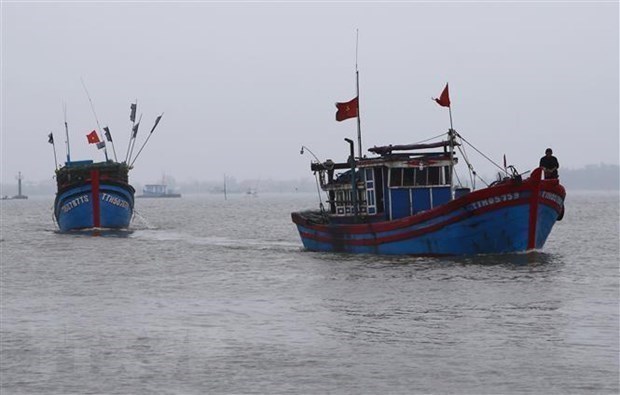 越南驻印尼大使馆为被拘留的渔民开展领事工作 hinh anh 1