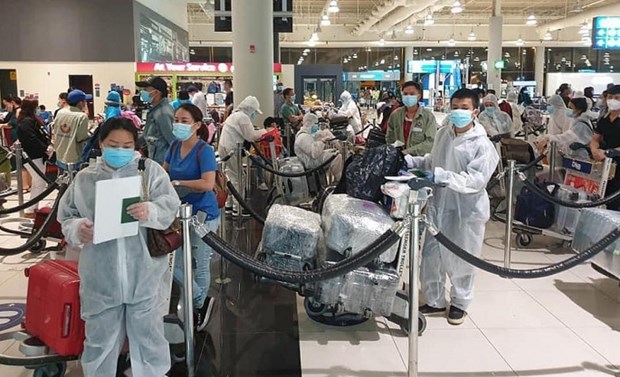 新冠肺炎疫情：将在韩国和日本的近700名越南公民接回国 hinh anh 1