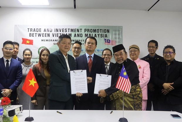 越南与马来西亚企业促进合作 hinh anh 1