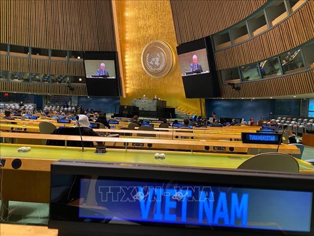法国驻联合国大使：越南成功将东盟与联合国安理会联系起来 hinh anh 1