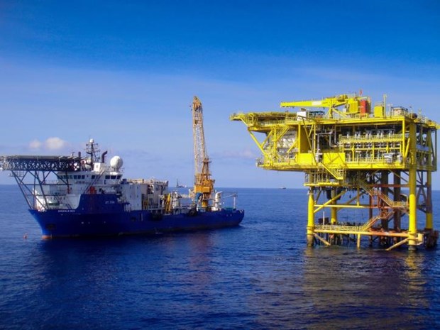 PVEP完成国内石油开采量220万吨的目标 hinh anh 1