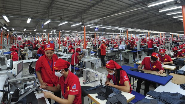 RCEP生效后越南纺织企业迎来发展新机遇 hinh anh 1