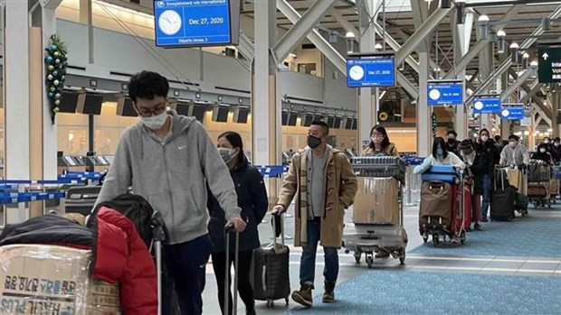 新冠肺炎疫情：将在加拿大、日本和中国台湾滞留的越南公民安全接回国 hinh anh 1