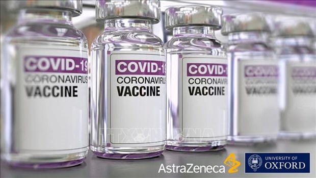 印尼就购买辉瑞和阿斯利康的新冠疫苗进行最后谈判 hinh anh 1