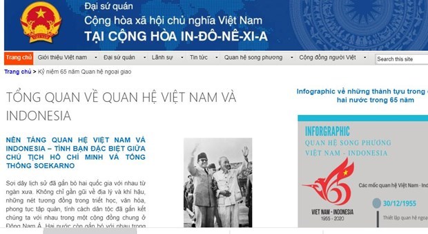 庆祝越南—印度尼西亚建交65周年专题页面开通 hinh anh 1