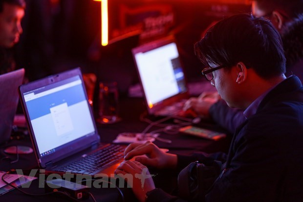2020年越南受到超过5000次网络攻击 hinh anh 1