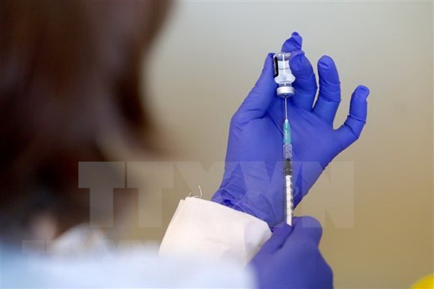 新冠肺炎疫情：印尼开始在全国范围内分发新冠疫苗 hinh anh 1