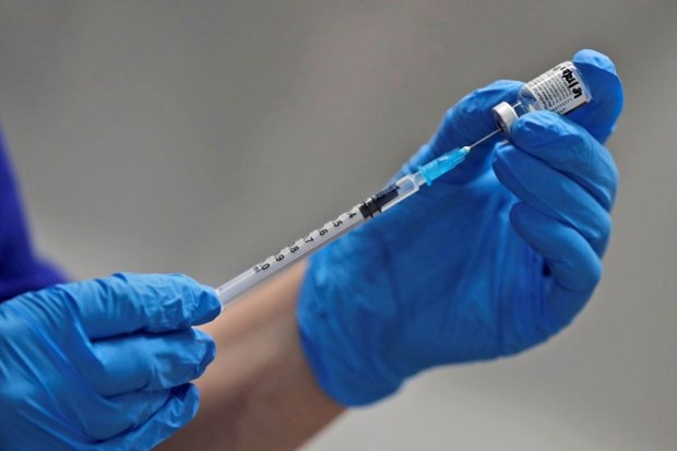 新冠肺炎疫情：新加坡从美国和中国购买新冠疫苗 hinh anh 1