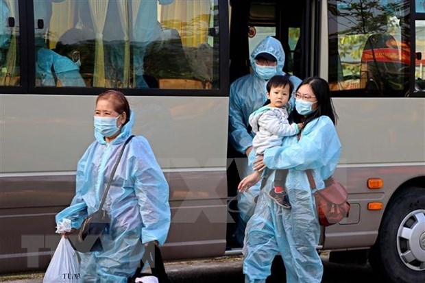 日本媒体称赞越南、新加坡和中国台湾的防疫工作 hinh anh 1