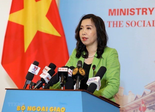 外交部例行记者会：越南外交取得诸多成就 hinh anh 1