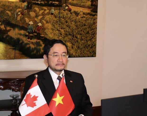 越南与加拿大贸易投资合作发展潜力巨大 hinh anh 2