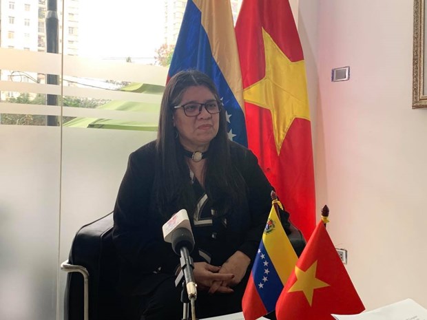 委内瑞拉驻越南大使：越共十三大——未来的钥匙 hinh anh 1