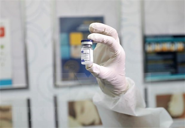 各国际组织将向越南提供新冠疫苗 hinh anh 1