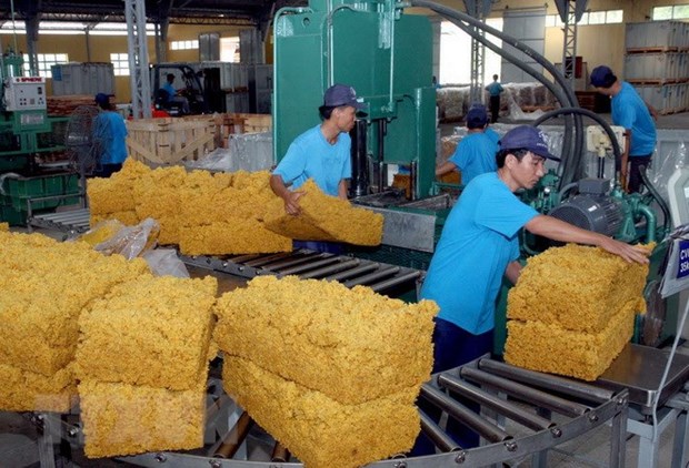 2020年越南橡胶工业集团完成利润计划的122.6% hinh anh 1