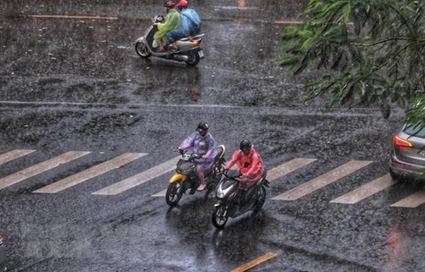 越南北部和中部以北地区今明出现雷雨天气 或将伴随闪电、冰雹 hinh anh 1
