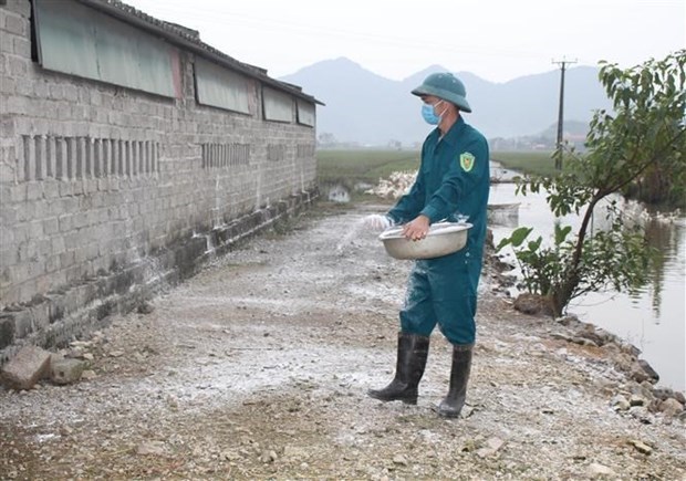 越南政府总理要求强化禽流感疫情防控措施 hinh anh 1