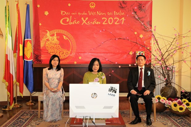 海外越南人纷纷举办各种庆祝活动 欢庆传统新春佳节 hinh anh 1