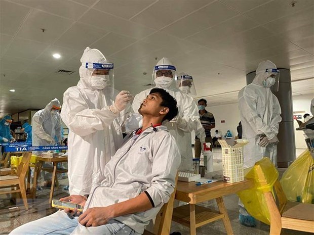 新冠肺炎疫情：新山一机场装卸理货员检出的病毒株首次在越南乃至东南亚出现 hinh anh 1