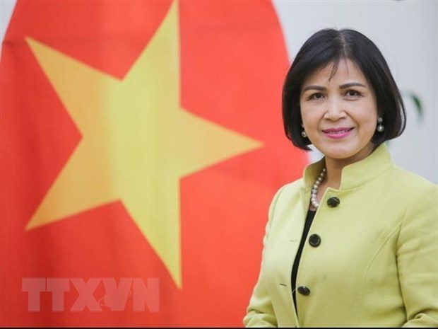 越南支持南方中心在深化发展中国家合作中的重要作用 hinh anh 1