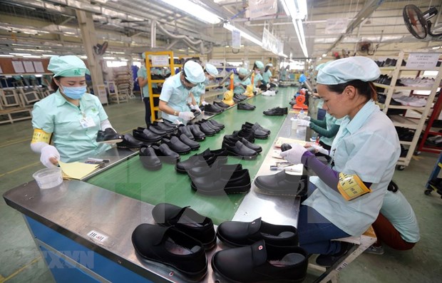越南皮鞋产业努力克服困难 更深更广地参与国际市场 hinh anh 2