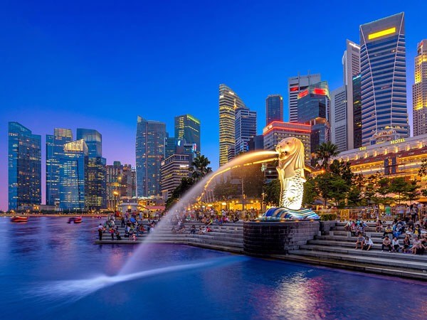 新加坡公布总价值为1070亿新元的2021年财政预算案 hinh anh 1