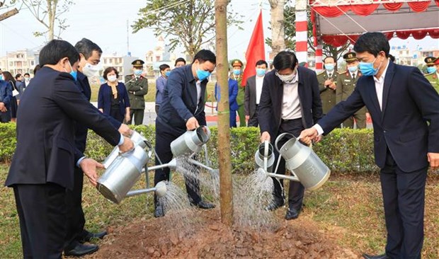 全国各省纷纷响应2021年春季植树节活动 hinh anh 3