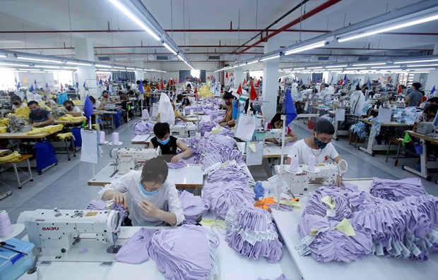 纺织品服装和鞋类生产与出口增长乐观 hinh anh 1