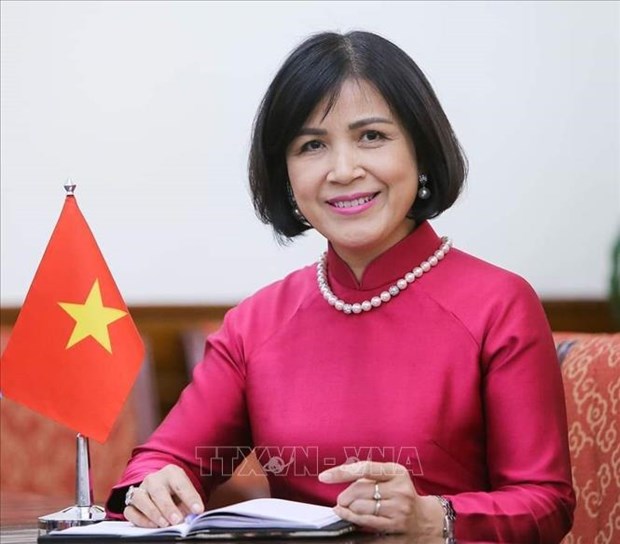 越南出席世贸组织对缅甸第二次贸易政策审议 hinh anh 1