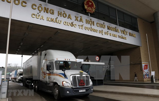 超过1.4万吨火龙果通过老街口岸向中国出口 hinh anh 1