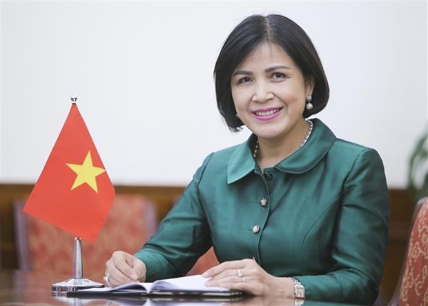 越南高度重视联合国贸发会议第15届大会的作用 hinh anh 1
