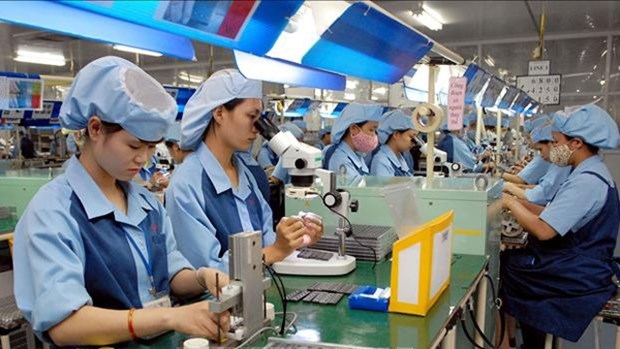 2020年推动越南经济增长的主要因素有哪些 hinh anh 1