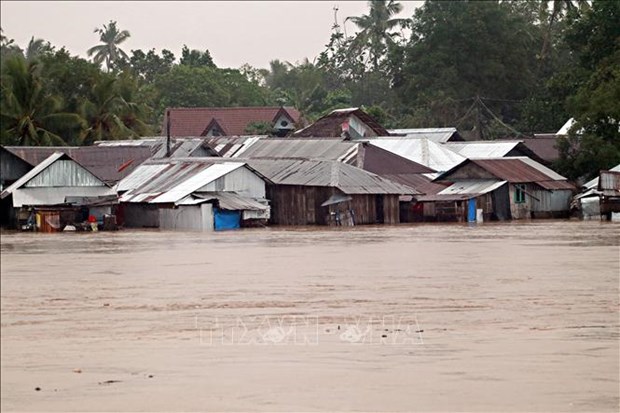 台风“杜鹃”登陆菲律宾 5000多人被迫疏散 hinh anh 1