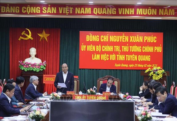 政府总理阮春福：宣光省需成为越南乃至地区木材业的“重要据点” hinh anh 1