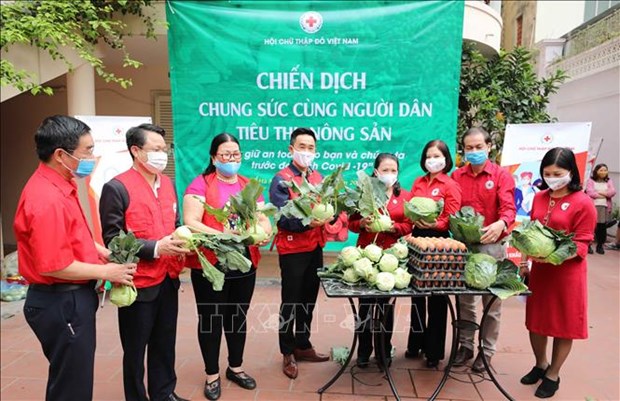 越南红十字协会启动疫区农产品爱心购活动 hinh anh 1
