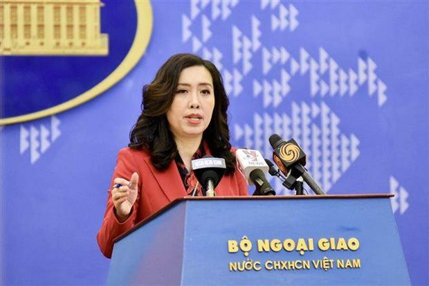 外交部发言人：越南希望缅甸保障越南公民的安全 hinh anh 1