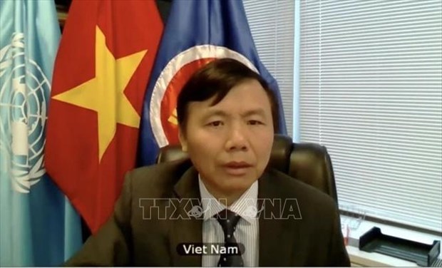 越南出席安理会关于国际法上使用武力和正当自卫权问题的视频会议 hinh anh 1
