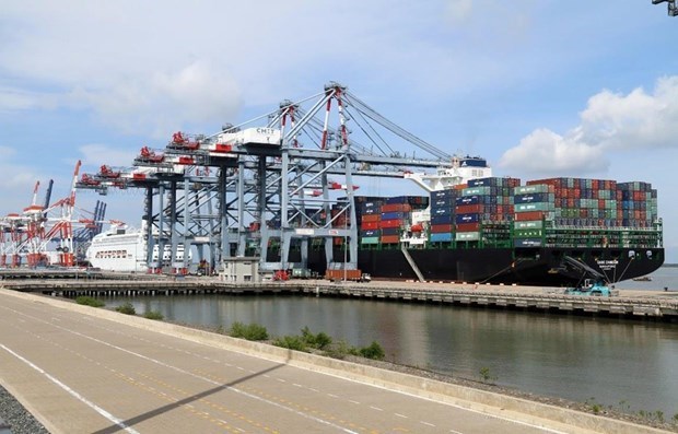巴地头顿港口集装箱吞吐量增长21% hinh anh 1