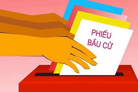 为越南第十五届国会和各级人民议会选举成功举行做好准备 hinh anh 1