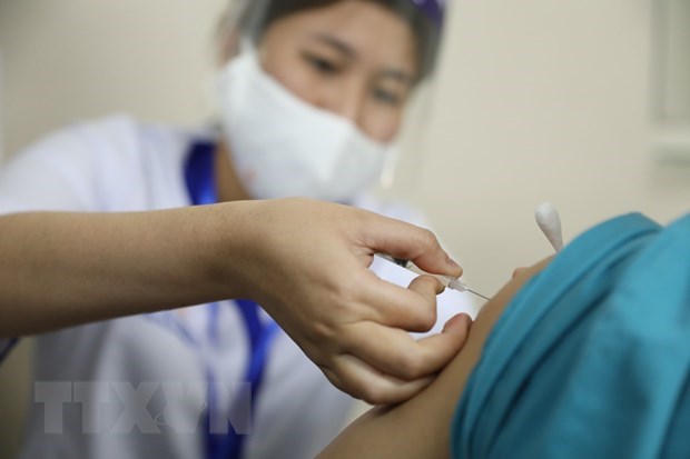 越南已有522人接种新冠疫苗 hinh anh 1