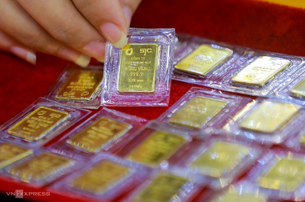 今日越南国内市场黄金价格每两上调12万越盾 hinh anh 1