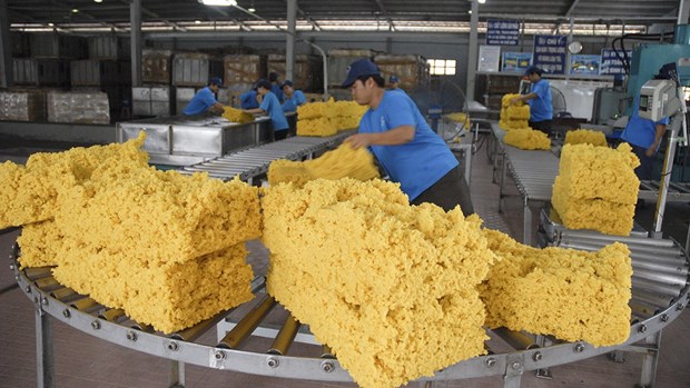 2021年前两个月越南橡胶出口量同比增长89.9% hinh anh 1